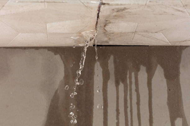 Professional Sewage Cleanup technician working in Denmark, TN